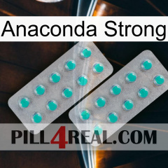 Anaconda Strong 29